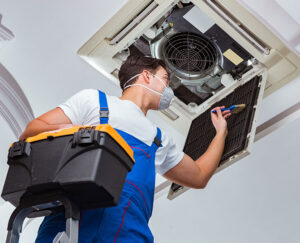 service-img-2-300x243